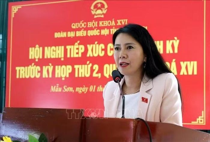 Bà Đoàn Thu Hà, Phó Bí thư Tỉnh ủy, Trưởng Đoàn đại biểu Quốc hội tỉnh Lạng Sơn, tiếp thu, làm rõ ý kiến của cử tri. Ảnh: TTXVN phát