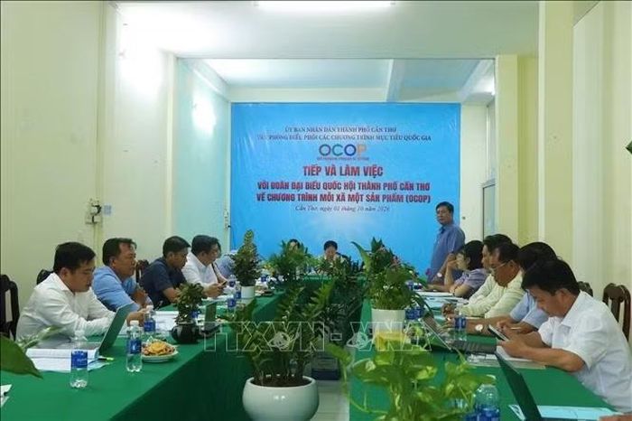 Quang cảnh buổi làm việc.