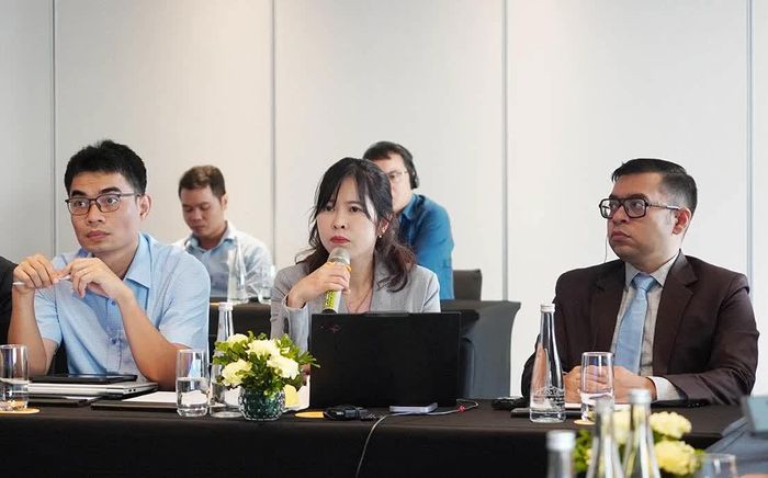 Bà Minh Nguyễn, Giám đốc Quốc gia Việt Nam, Liên minh Năng lượng Toàn cầu vì Con người và Hành tinh và các chuyên gia