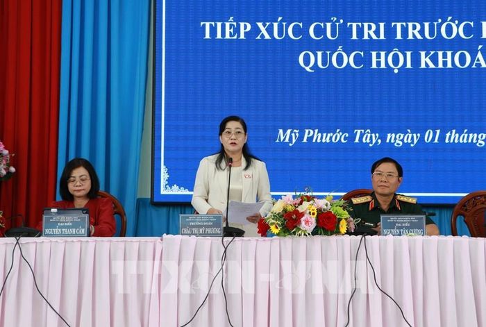 Bà Châu Thị Mỹ Phương, Phó Bí thư Tỉnh ủy, Trưởng Đoàn đại biểu Quốc hội tỉnh Đồng Tháp, phát biểu. Ảnh: Hồng Thái - TTXVN