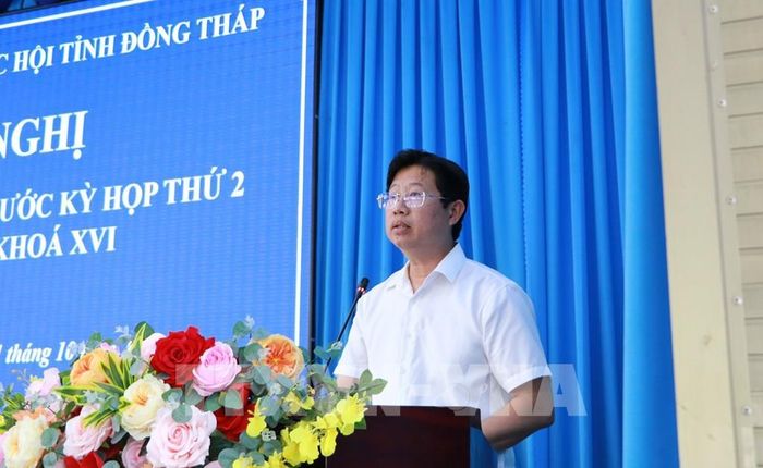 Ông Huỳnh Minh Tuấn, Phó Chủ tịch UBND tỉnh Đồng Tháp, phát biểu giải trình một số kiến nghị của cử tri. Ảnh: Hồng Thái - TTXVN
