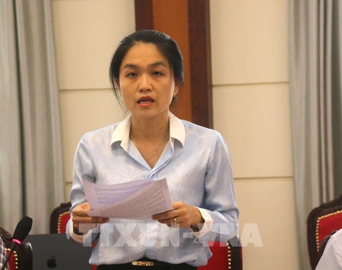 Bà Mai Thị Tuyết Hạnh, Phó Giám đốc Trung tâm Dịch vụ Đấu giá tài sản TP Hồ Chí Minh cho ý kiến góp ý về Luật đấu giá tài sản (sửa đổi). Ảnh: Hứa Chung-TTXVN