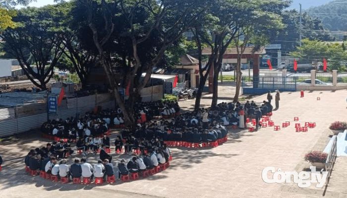 Hoạt động hưởng ứng Tuần lễ học tập suốt đời gắn với đọc sách, tự học và kỹ năng số.