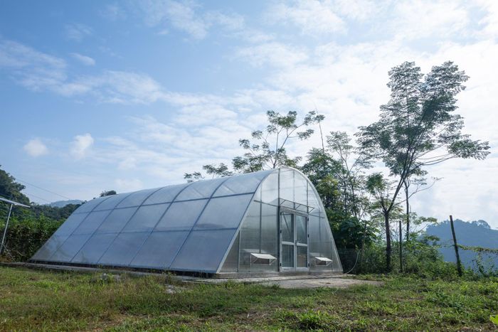 Mô hình nhà sấy năng lượng mặt trời tại Hợp tác xã Sản xuất và chế biến măng Xuân Nha. Ảnh: Dự án GREAT
