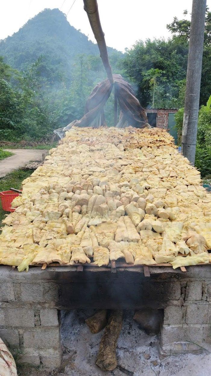 Một trong những cách sấy măng bằng lò củi. Ảnh: Lò Thị Nguyễn