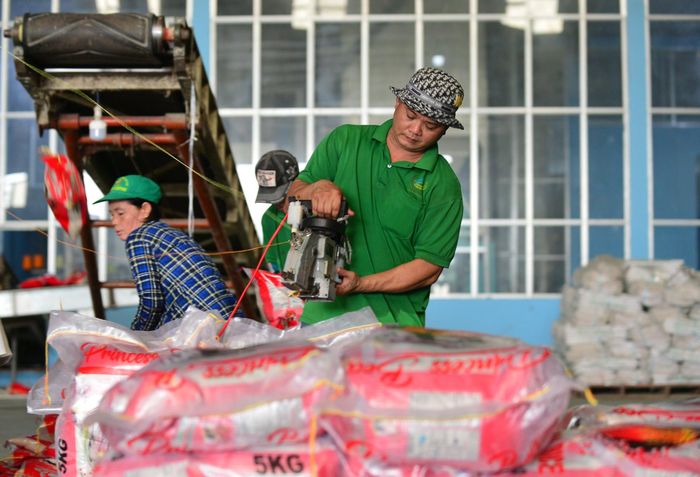 Nghị định mới thiết lập cơ chế đánh giá mức độ tín nhiệm đối với thương nhân xuất khẩu gạo theo thang điểm từ 0 đến 100.