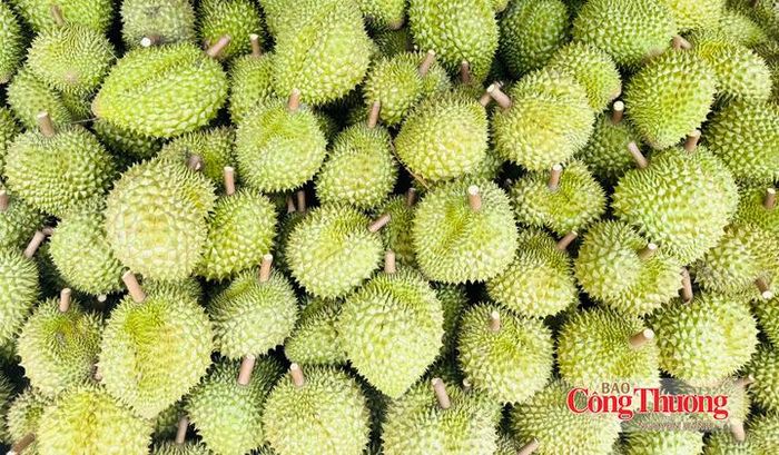 9 tháng, xuất khẩu rau quả đạt gần 7,35 tỷ USD, tăng 19,9% so với cùng kỳ năm 2025