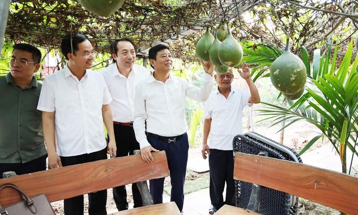  Phó Chủ tịch UBND thành phố Ngô Tân Phượng cùng đoàn công tác tham quan khu trồng gấc nguyên liệu của Hợp tác xã Nông nghiệp Gấc Việt. 