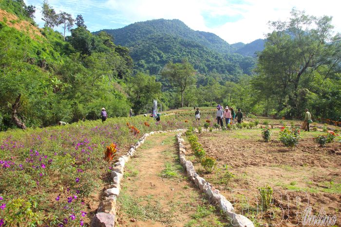 Đảo hoa có diện tích gần 6.000m2 được quy hoạch trồng hoa và thảm cỏ tạo cảnh quan.