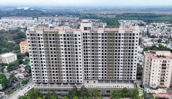 Dự án nhà ở xã hội đã hoàn thành và đưa vào sử dụng tại phường Trấn Biên. Ảnh: Hoàng Lộc