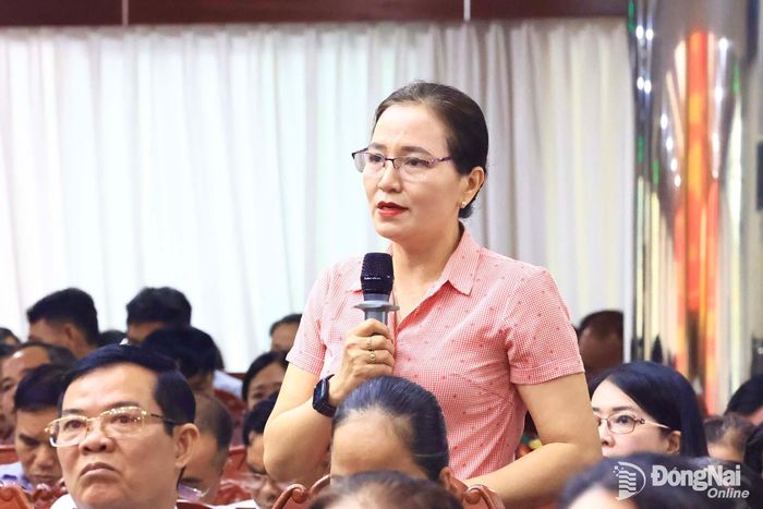 Cử tri phát biểu ý kiến tại hội nghị. Ảnh: Công Nghĩa