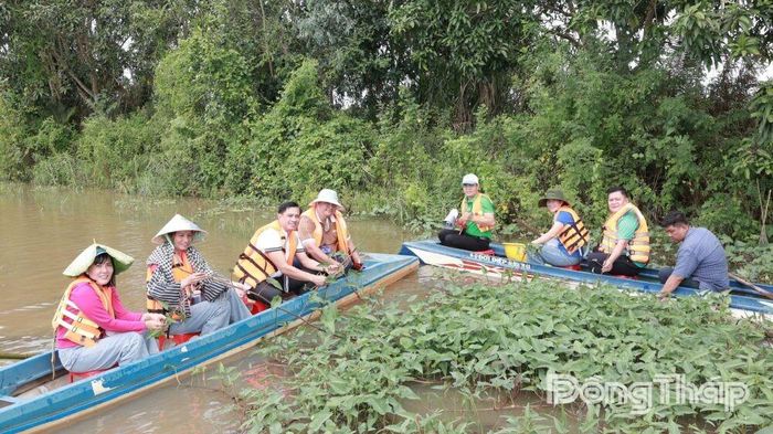 Hoạt động bơi xuồng, hái rau đồng giúp du khách hiểu thêm về đời sống và sinh kế của người dân vùng Đồng Tháp Mười.