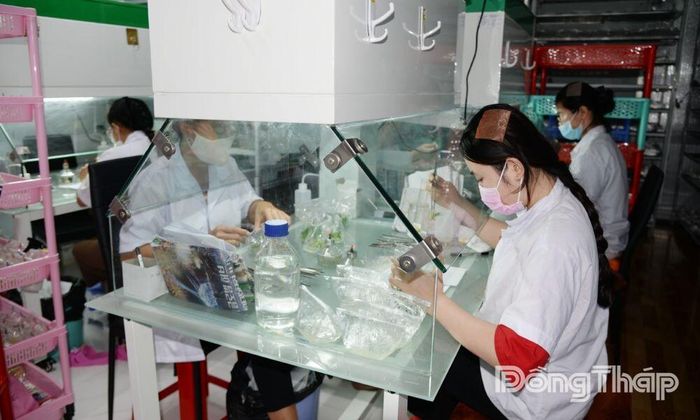 Hợp tác xã Kim Phát đẩy mạnh ứng dụng công nghệ cao, chuyển đổi số vào hoạt động sản xuất, kinh doanh.