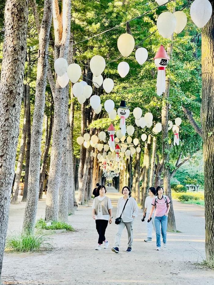  Người dân và du khách bách bộ dưới hàng cây rợp bóng mát tại đảo Nami. Ảnh: Đoàn Minh Phụng 