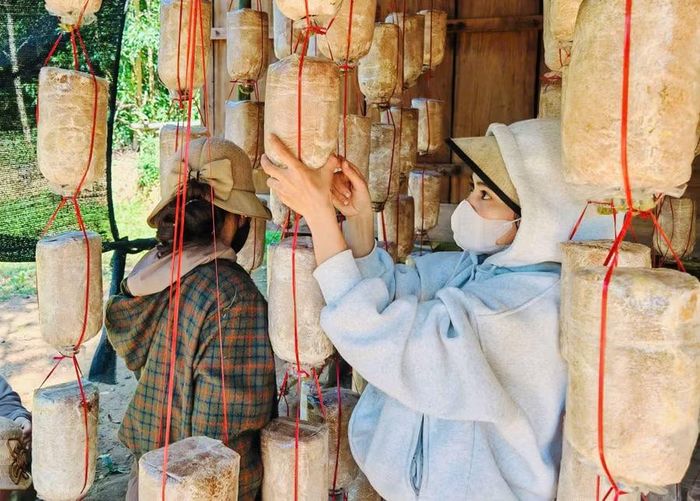  Trung tâm GDNN-GDTX Tây Sơn chú trọng cho học viên được học tập gắn với thực tế và thực hành. Ảnh: T.D 