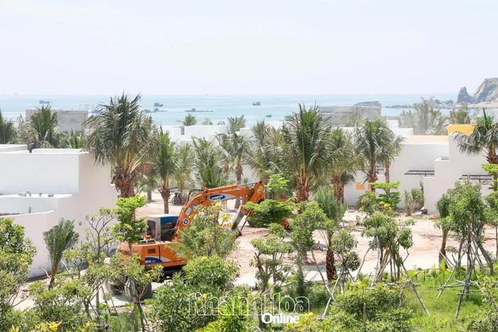 Khu vực thực hiện dự án.