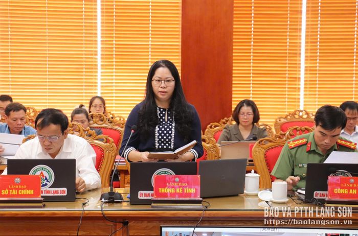 Lãnh đạo Thống kê tỉnh phát biểu ý kiến tại cuộc họp