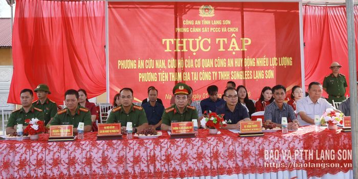 Các đại biểu dự, theo dõi thực tập phương án