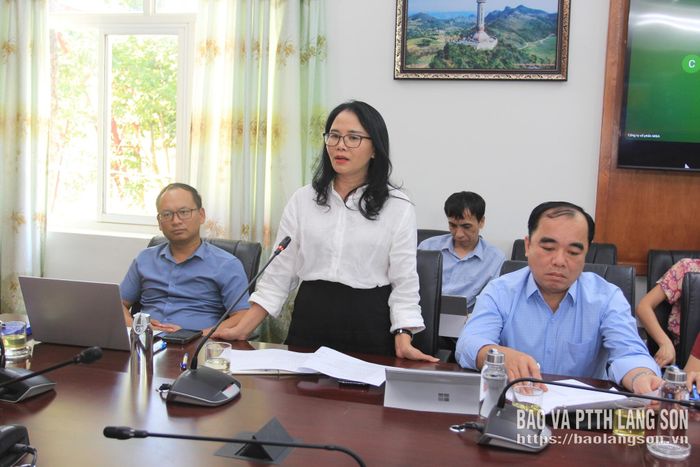 Lãnh đạo Sở Văn hóa, Thể thao và Du lịch phát biểu tại cuộc họp