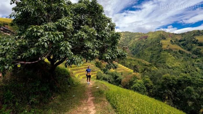 Những cung đường tạo nên sức hút của Giải chạy địa hình Ultra Trail 2026.