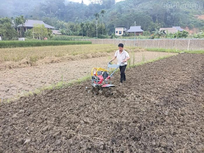 Người dân xã Lâm Thượng làm đất trồng cây vụ đông.
