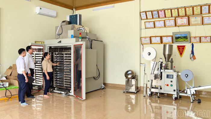 Hợp tác xã Nông sản, dược liệu Mạnh Hương đầu tư máy móc, thiết bị phục vụ chế biến, nâng cao chất lượng sản phẩm từ dược liệu.