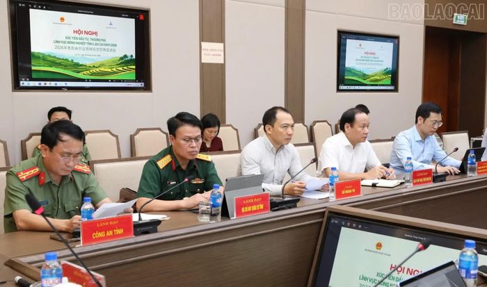 Các đại biểu tham dự cuộc họp.