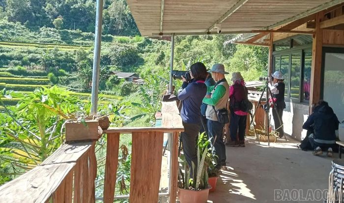 Du khách trải nghiệm cảnh quan ruộng bậc thang tại Homestay A Sình Lao Chải.