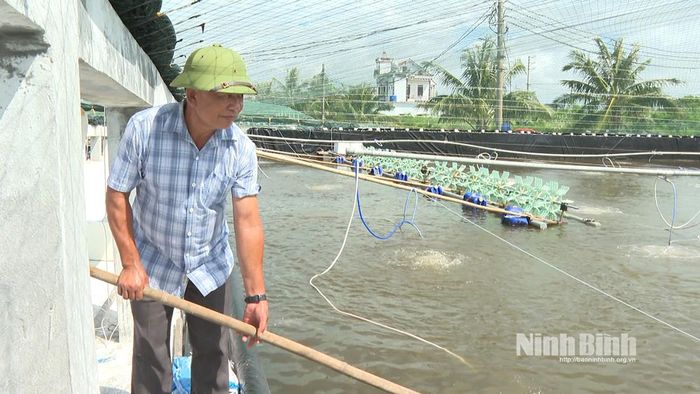 Mô hình nuôi tôm công nghệ cao của hộ ông Cao Văn Ba, xã Giao Ninh