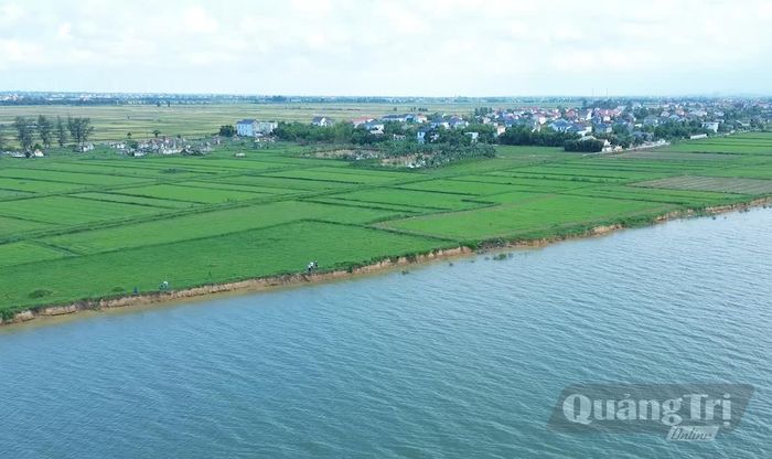 Tăng cường theo dõi diễn biến tại các điểm sạt lở ở sông Nhật Lệ đoạn qua xã Quảng Ninh - Ảnh: B.C