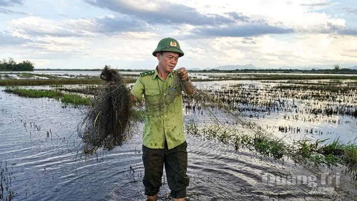 Lực lượng Kiểm lâm thu gom lưới bẫy chim được giăng trên cánh đồng ngập nước - Ảnh: Đội KLCĐ và PCCCR số 2