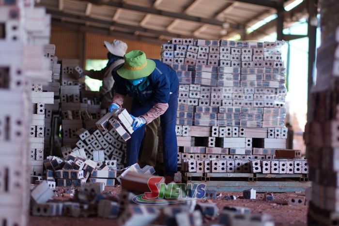 Ca sản xuất của công nhân Nhà máy gạch Tuynel Phù Yên.