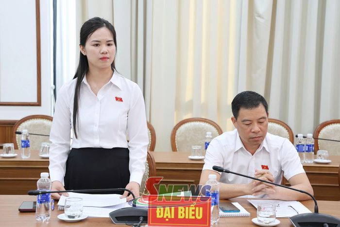 Các đại biểu phát biểu tại cuộc họp.