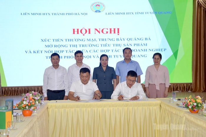 Các hợp tác xã Tuyên Quang - Hà Nội ký kết tiêu thụ sản phẩm nông sản.