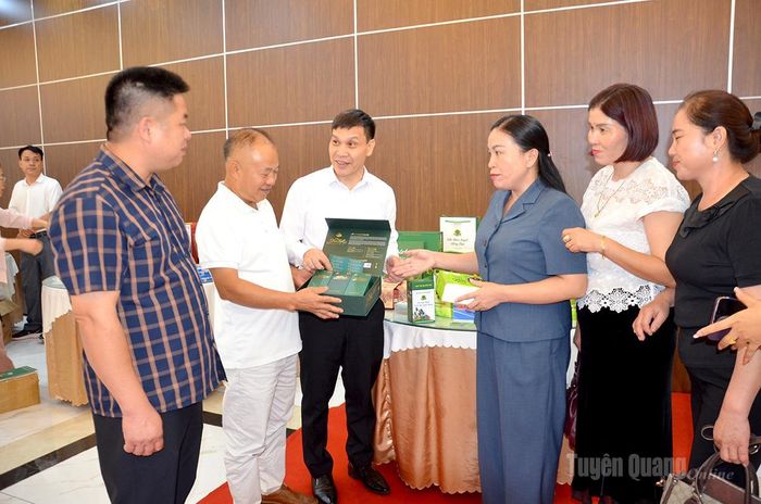 Lãnh đạo Hợp tác xã Sơn Trà, xã Hồng Thái giới thiệu sản phẩm trà shan tuyết 1 tôm 1 lá đạt OCOP 5 sao.