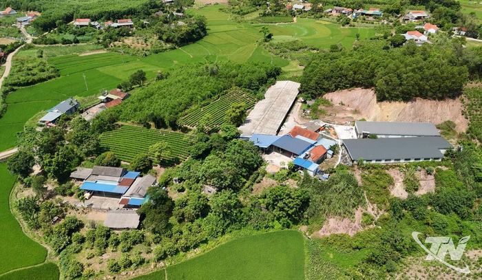 Toàn cảnh khu chuồng trại chăn nuôi khép kín rộng 1.000m2 của gia đình anh Âu Xuân Hữu tại xóm Trại Gião, xã Nam Hòa.