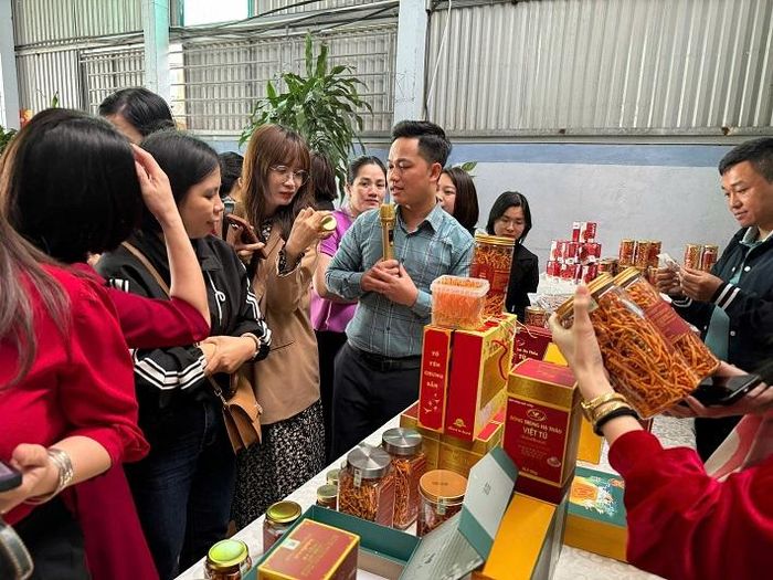 Các sản phẩm của HTX Nấm sạch Việt Tú