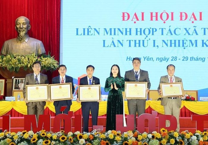 Đồng chí Ngô Thị Kim Hoàn, Ủy viên Ban Thường vụ Tỉnh ủy, Phó Chủ tịch Ủy ban MTTQ tỉnh tặng Bằng khen của Chủ tịch UBND tỉnh cho các tập thể, cá nhân có thành tích