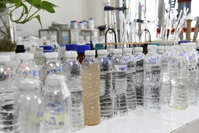 Các mẫu liên quan vụ án bị điều tra (Ảnh: C04).