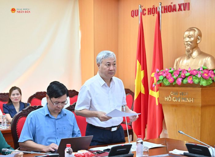 Phó Chủ nhiệm Ủy ban Công tác đại biểu Trần Văn Lâm trình bày báo cáo