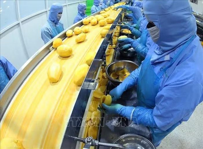 Rau quả, thủy sản và gỗ, sản phẩm gỗ đều đạt kim ngạch lớn và duy trì tăng trưởng khá. Ảnh: Vũ sinh