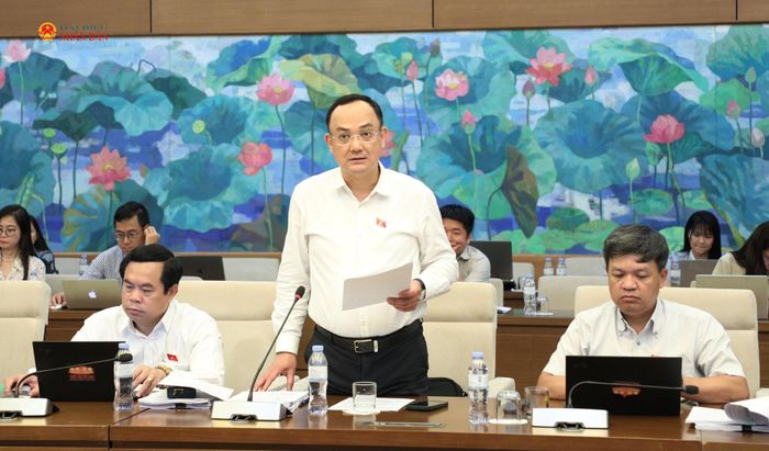 ĐBQH hoạt động chuyên trách tại Ủy ban Khoa học, Công nghệ và Môi trường Nguyễn Ngọc Sơn phát biểu