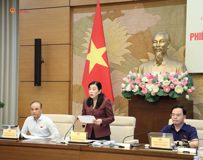 Chủ nhiệm Ủy ban Khoa học, Công nghệ và Môi trường Nguyễn Thanh Hải phát biểu