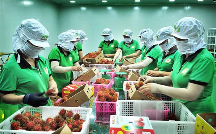 Nông sản, thực phẩm nhập khẩu tại Úc cần phải được kiểm tra theo từng sản phẩm, thành phần, mức độ chế biến, mục đích sử dụng và xuất xứ...