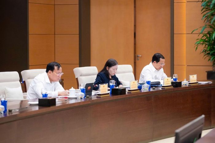  Các đại biểu tham dự phiên họp. 