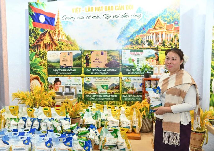 Hơn 100 sản phẩm đặc trưng của Việt Nam và Lào được giới thiệu, trưng bày và bán trực tiếp tại số 93 Đinh Tiên Hoàng, Hà Nội, trong khuôn khổ "Tuần lễ sản phẩm Việt – Lào".
