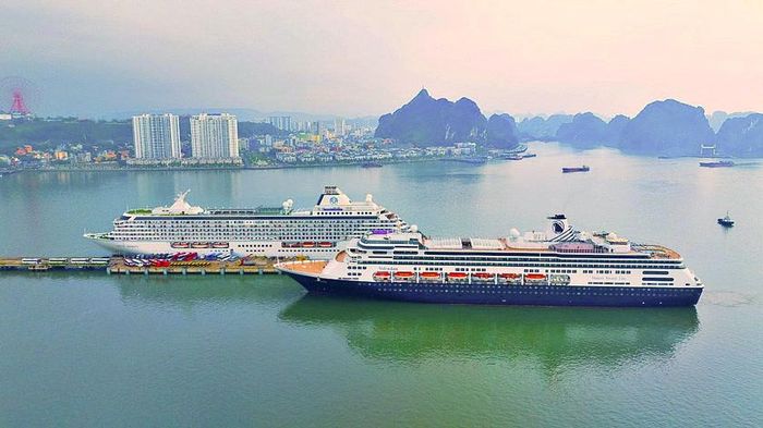 Cảng tàu du lịch Hạ Long - Cảng Du thuyền hàng đầu châu Á năm 2026 đón tàu khách quốc tế. Ảnh: halongtourist.net