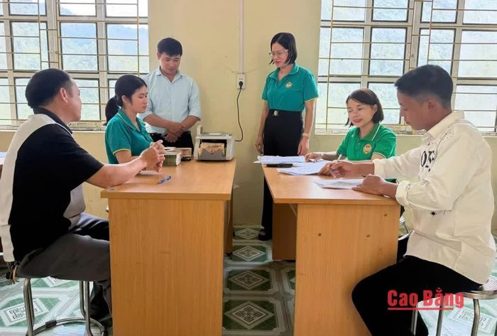 Các hộ nhận tiền giải ngân dự án chăn nuôi lợn thịt.
