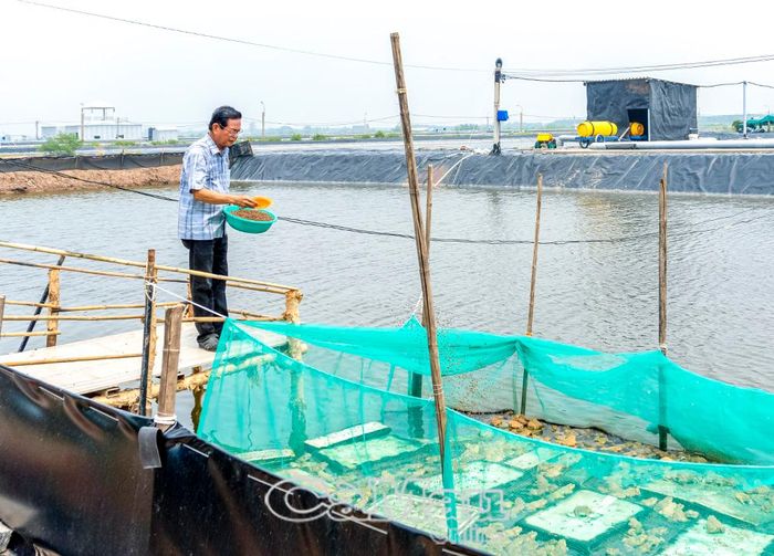 Dù tuổi cao nhưng ông Tạ Hoàng Nhiệm vẫn tích cực tham gia phát triển kinh tế và đóng góp thiết thực cho cộng đồng.