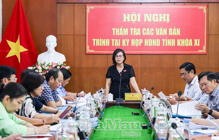 Bà Vũ Hồng Như Yến, Trưởng ban Kinh tế - Ngân sách HĐND tỉnh, phát biểu kết luận hội nghị.